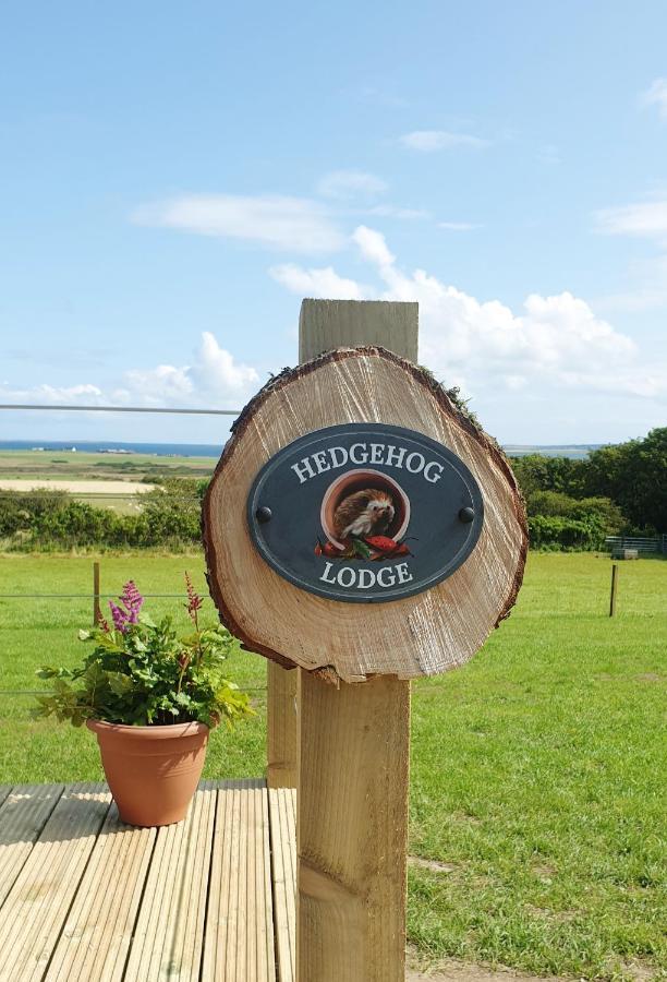 Lilly'S Lodges Orkney Hedgehog Lodge Finstown Zewnętrze zdjęcie