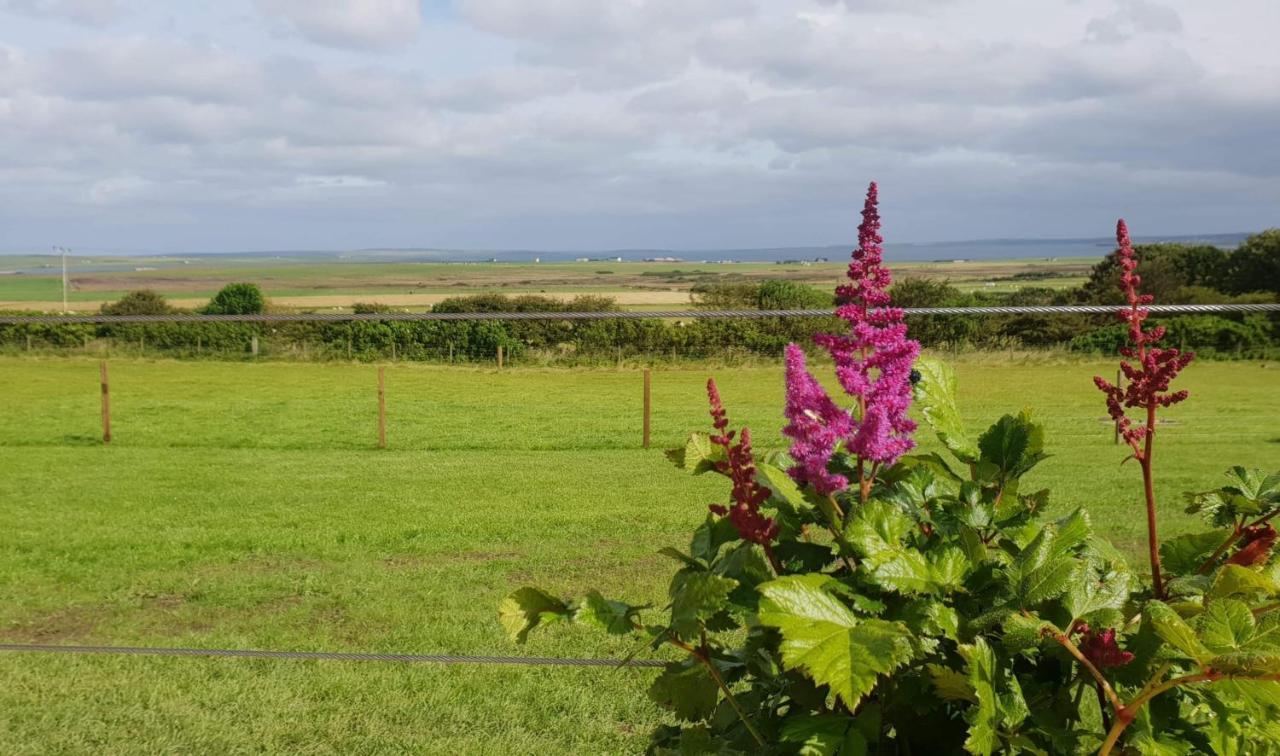 Lilly'S Lodges Orkney Hedgehog Lodge Finstown Zewnętrze zdjęcie