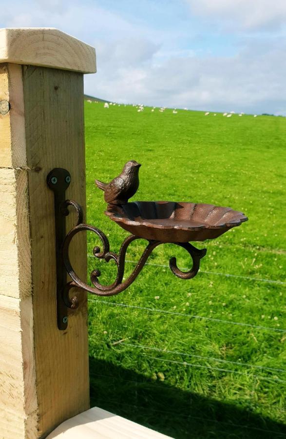 Lilly'S Lodges Orkney Hedgehog Lodge Finstown Zewnętrze zdjęcie